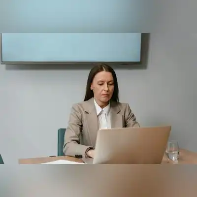 龙冬新